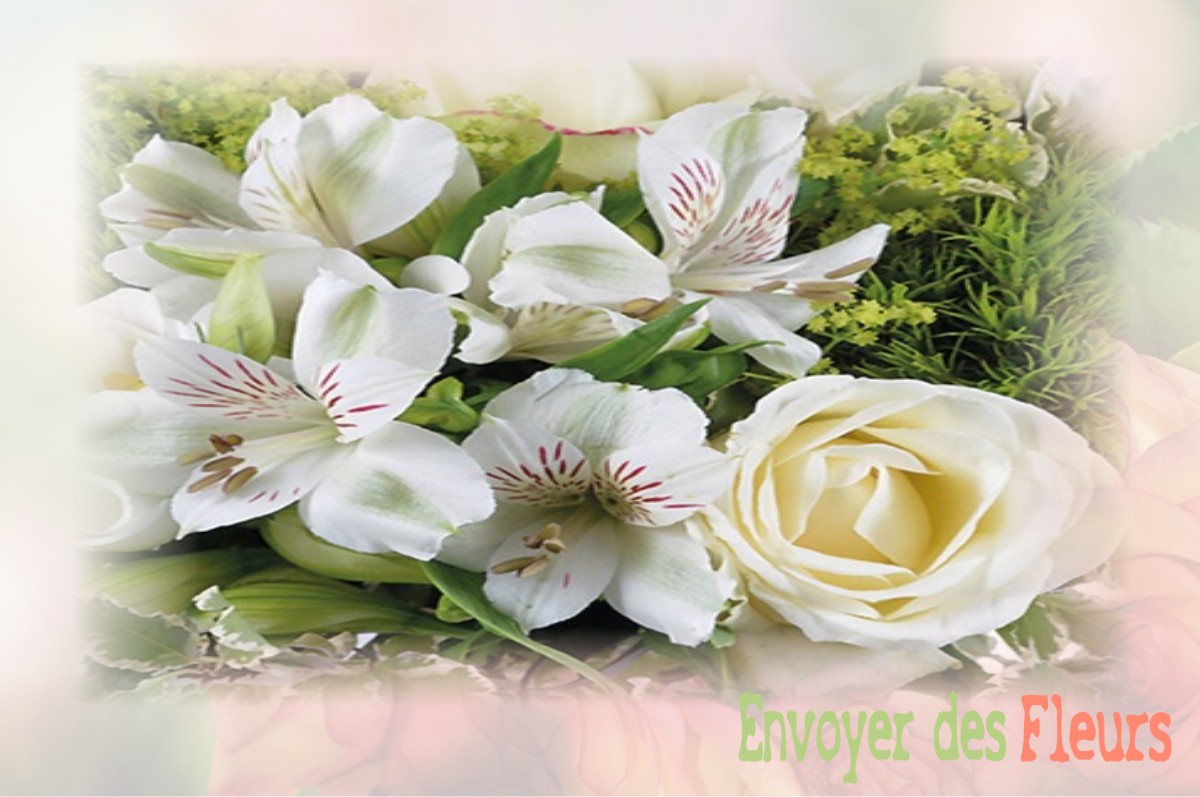envoyer des fleurs à à BUSSEROTTE-ET-MONTENAILLE